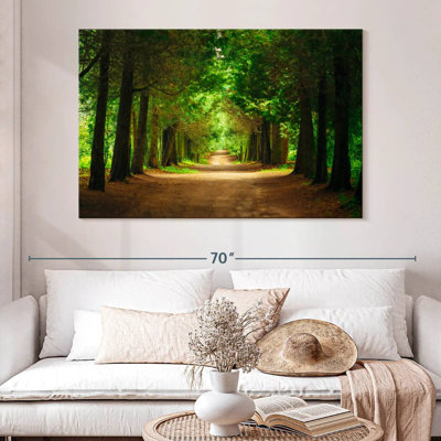 Sireci Park Tunnel Trees