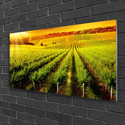 Field - No Frame Print on Glass