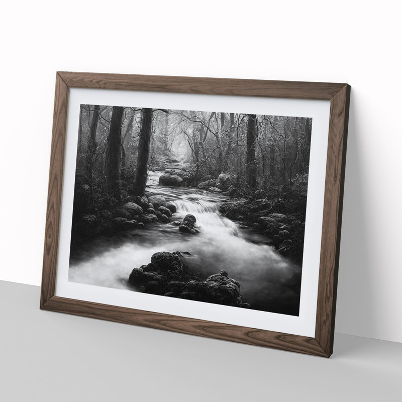 Forest Stream - Framed Print, 46cm H x 64cm W, Walnut Framed