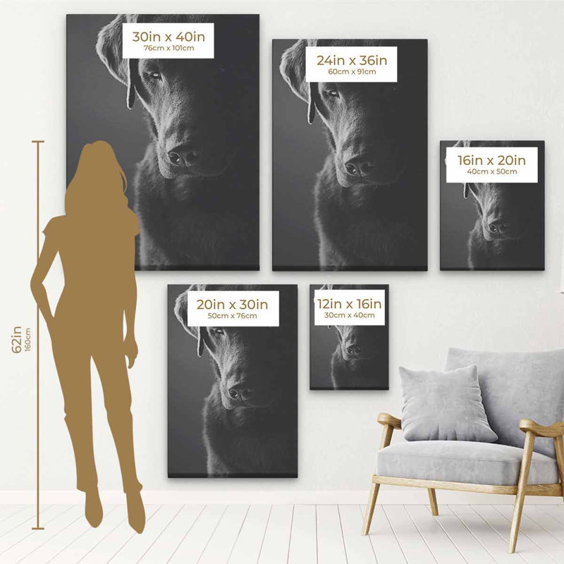 «Black Dog», art mural sur toile 2995, H 16 po x l 12 po, Toile encadrée noire