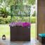 Baxlee Pot Planter-2051352359