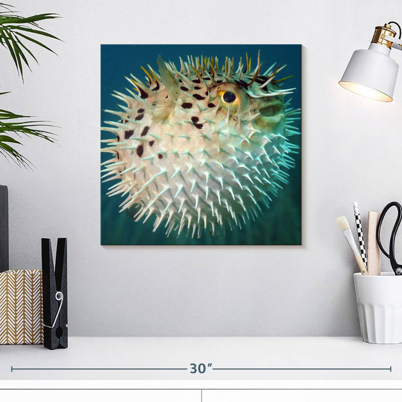 Brampt Puffer Fish, 16" H x 16" W