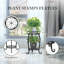 Pitzer Plant Stand - Set of 2