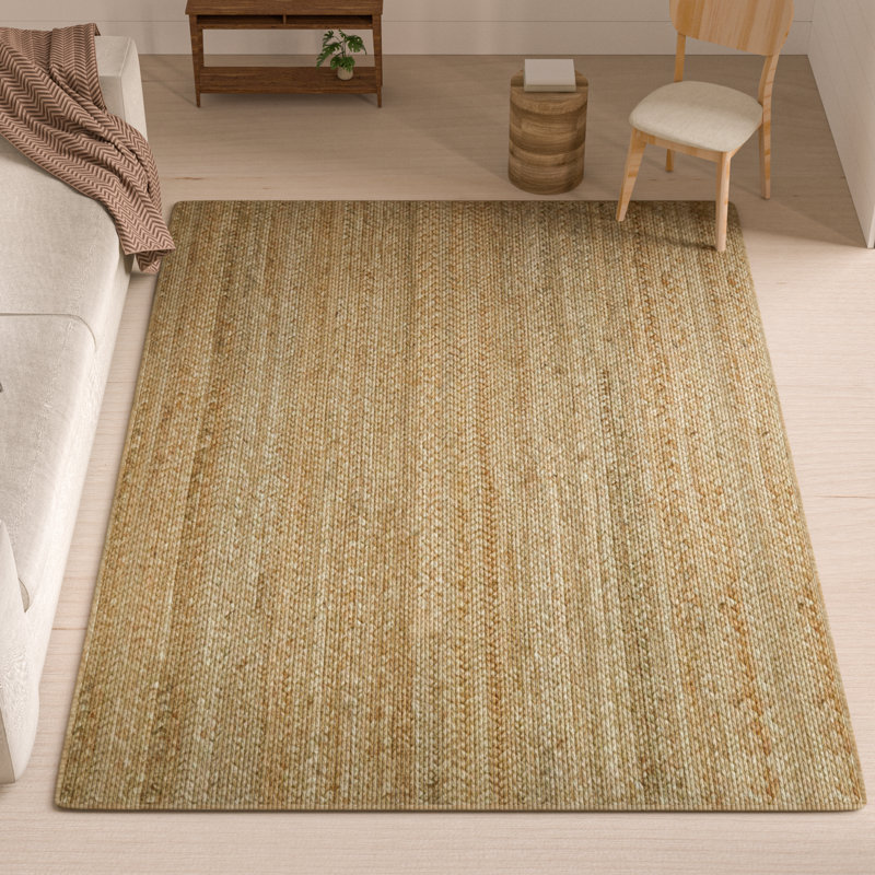 Kayleigh Hand Braided Area Rug, Rectangle 5 pi x 7 pi