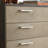 Modern Minimalist Style Accent Chest