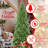 7.5FT Slim Christmas Tree-1073438953