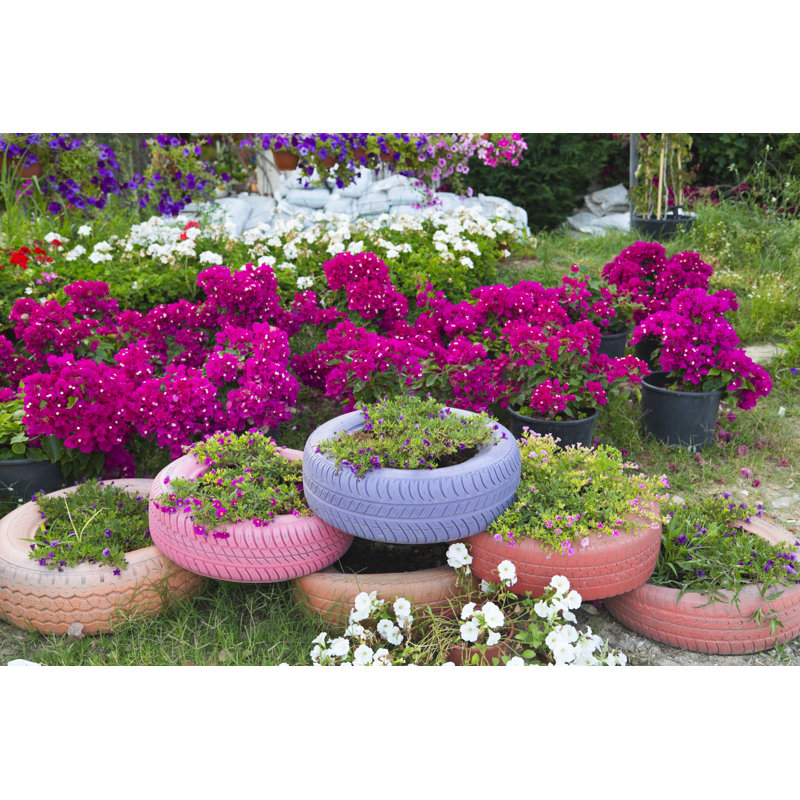 Bohumila Colorful Flowers par Enginkorkmaz - Photographie sur toile tendue, H 8 po x l 12 po x P 1,25 po