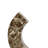 Tabletop Decor Accent, Open-Curved Frame, Brown Marble-Like Resin 14 Inch-130623948