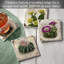 Ensemble de 4 sous-verres cactus