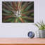 «Succulent VI» par Dennis Frates-830196071