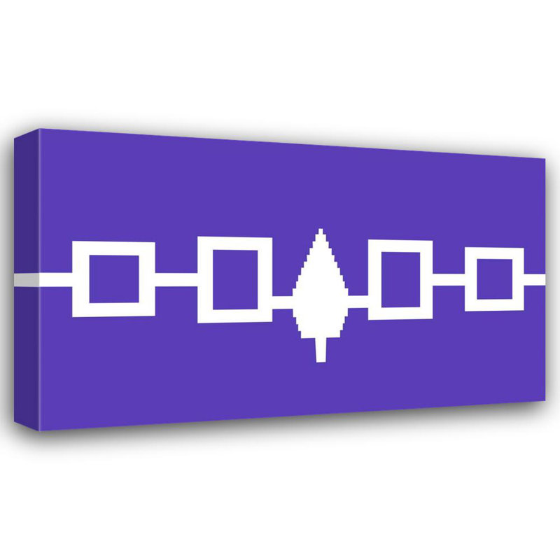 Native American Iroquois Confederacy, H 11 po x l 18 po