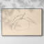 Citrus Contour I, reproduction d'art sur toile-94354516-94354522