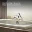 Memoirs 66-In X 42-In Heated Bubblemassage Air Bath With Bask And Center Rear Drain-1687356195
