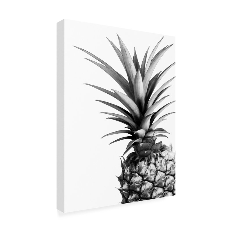 Reproduction d’art sur toile tendue « Pineapple (BW) » par Lexie Greer, H 24 po x l 18 po x P 2 po