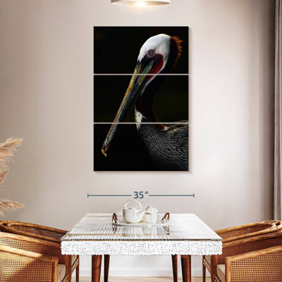 Brampt Brown Pelican Portrait