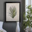 Palmier botanique I - impression-2113867222-2113867221