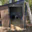 Photos des clients 4 de 4