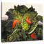 Yarlin, trois limaces sur un chou-109202773