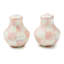 Rosy Check Salt And Pepper Shakers