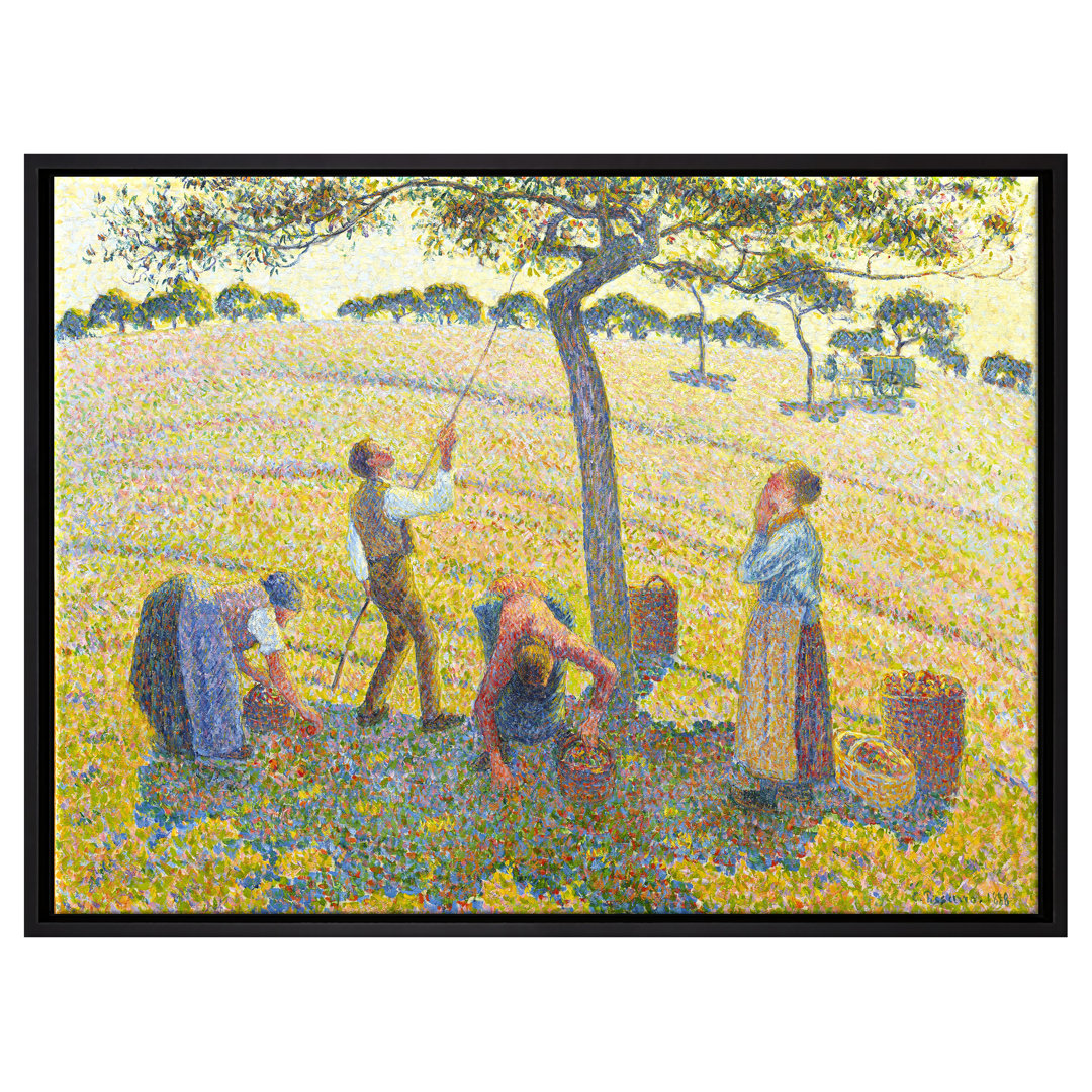 Gerahmter Kunstdruck Leinwandbild Die Apfelernte von Camille Pissarro