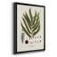 «Botanical Society Ferns II», reproduction encadrée de qualité supérieure - prête à être accrochée-88261681-88261683
