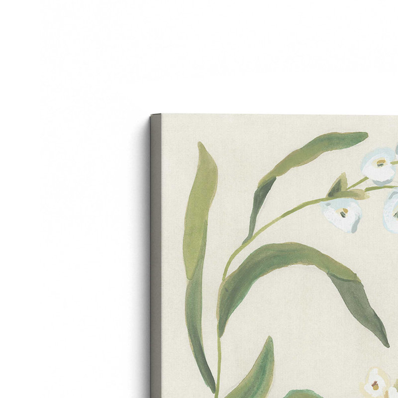 «Snowdrop Stems I» par June Erica Vess, reproduction d'art sur toile, Toile tendue, Ne s’applique pas, H 16 po x l 12 po