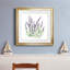 Lavande botanique I - peinture encadrée-528708043-528708042