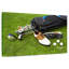 Ensemble de matériel de golf-1424148316