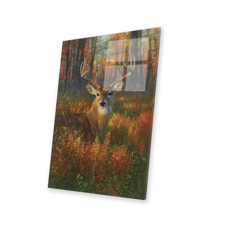 «Autumn Buck Whitetail Deer» sur plastique / acrylique par Collin Bogle, peinture