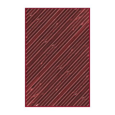 Striped Indoor Rug