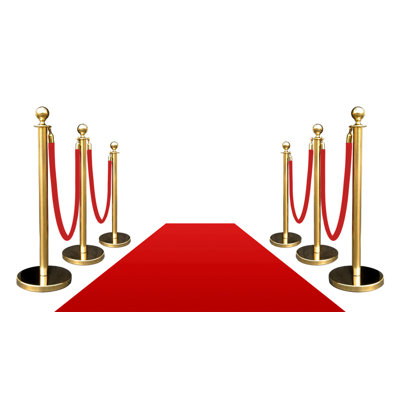 VIP Crowd Control 40 in. H x 12 in. W Stanchion System