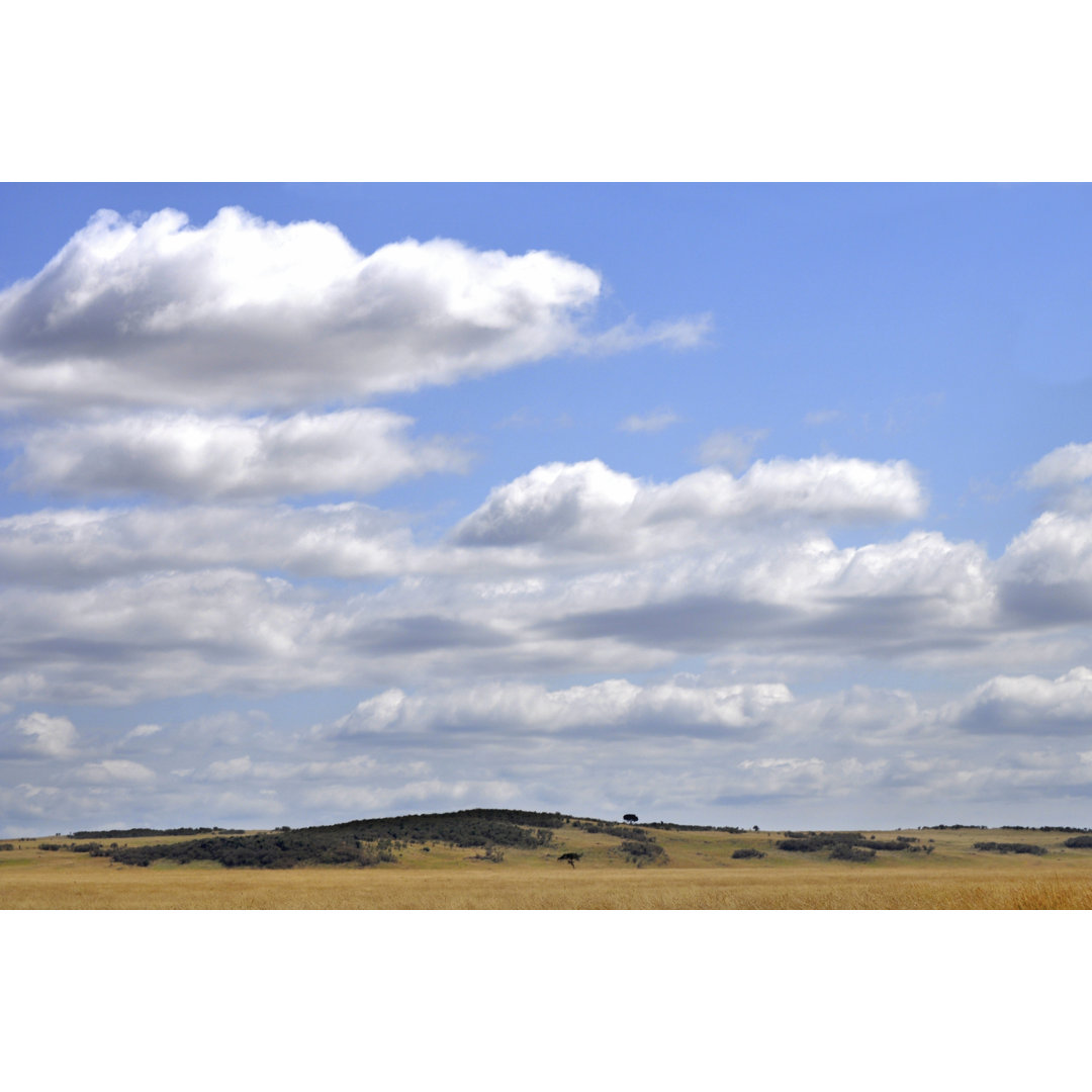 Leinwandbild Bucolic Scene II von Golie Miamee