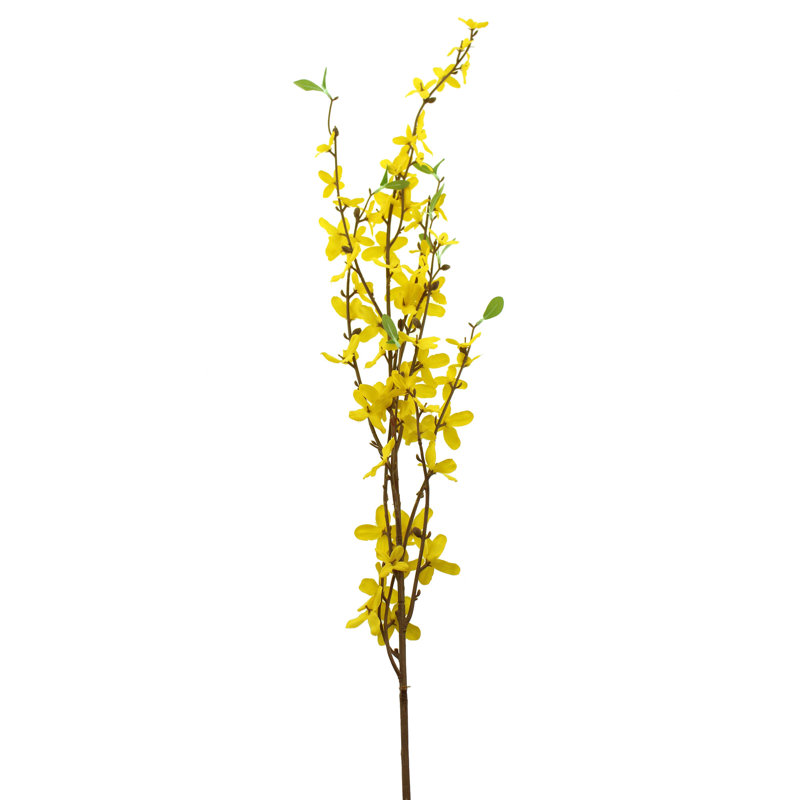 Forsythia Arrangement