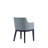 Contemporary Minimalist Arm Chair-1859470417