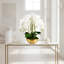 Orchidée dorée Abigail Realtouch-109242015