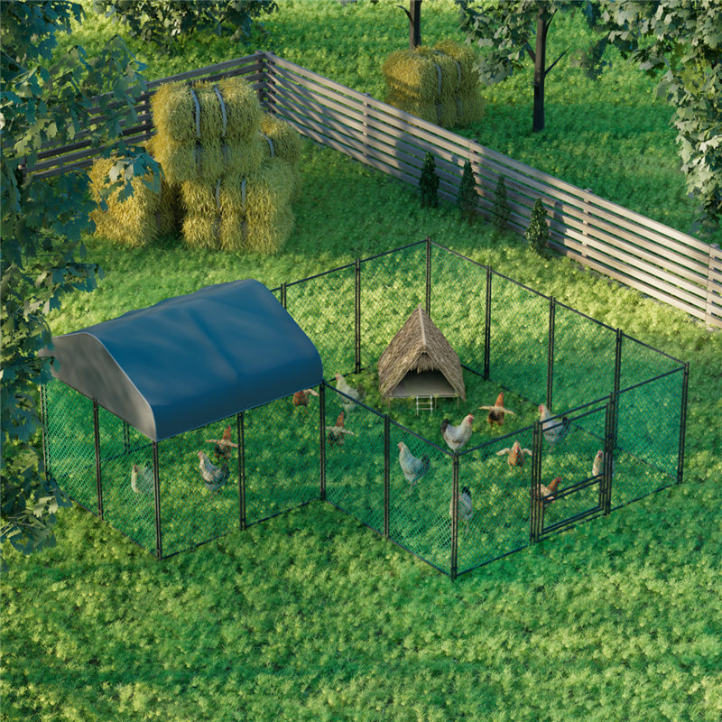 Siloam Chicken Run