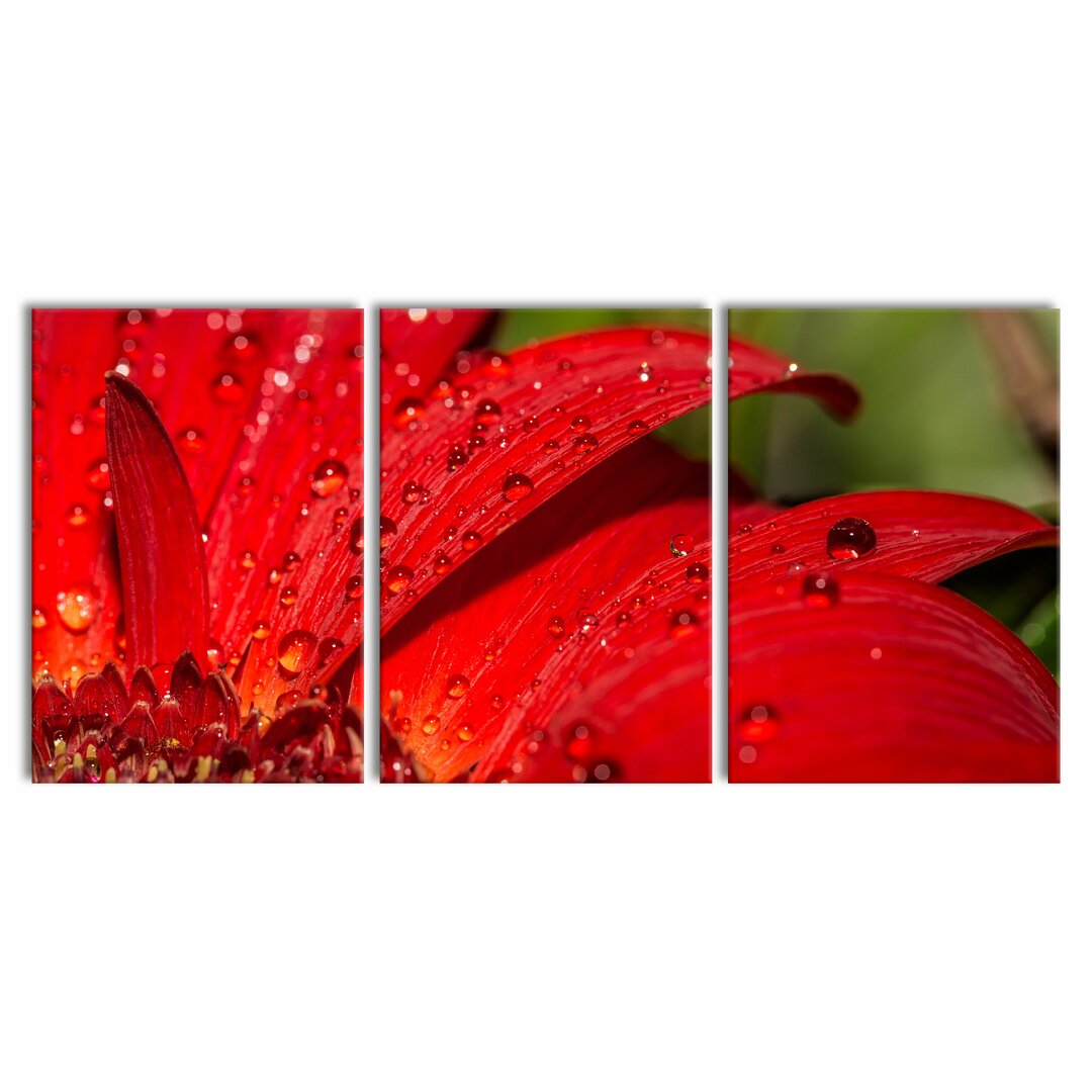 3-tlg. Leinwandbilder-Set Dew Drops on Red Flower