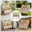 Plant Stand-1022678310