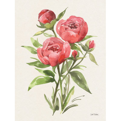 Pivoine II sur toile par Leslie Trimbach