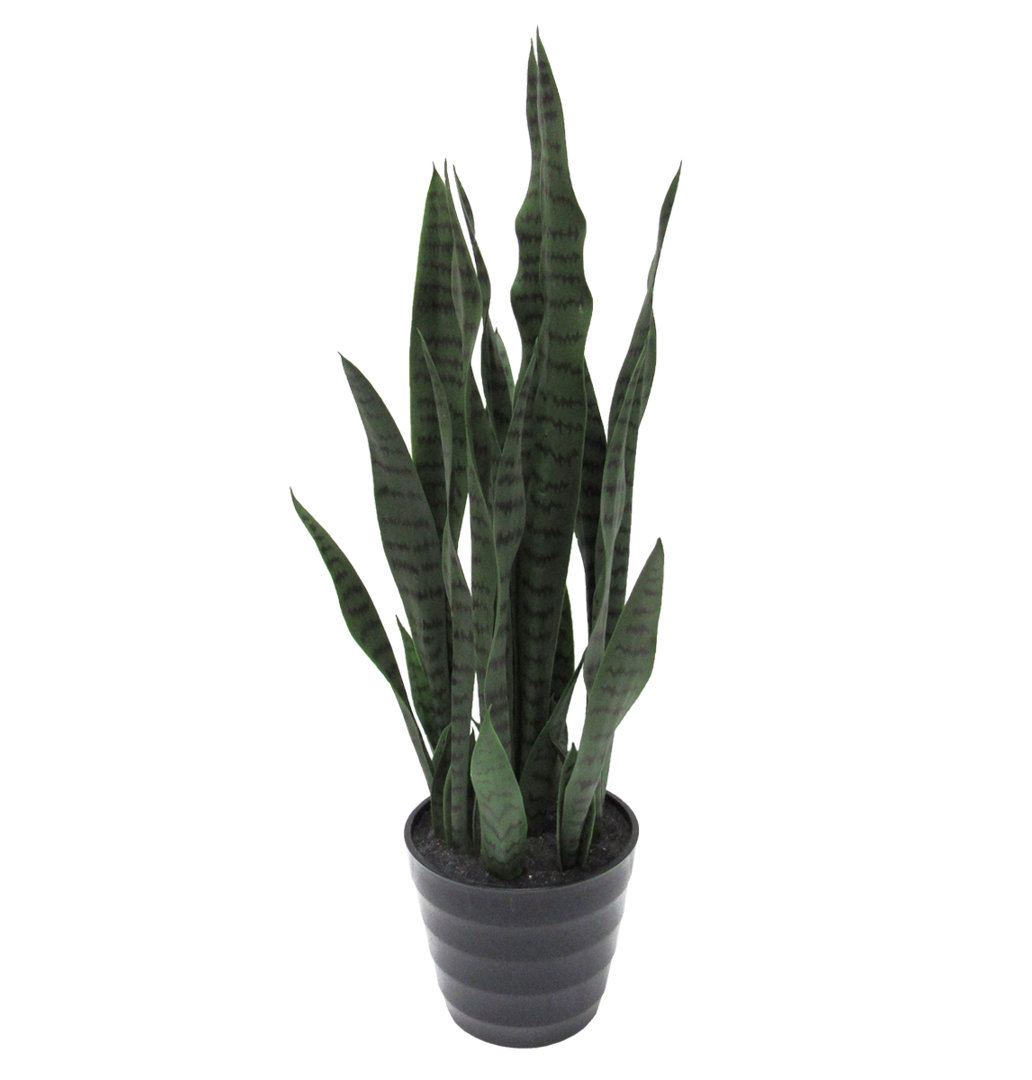 Artificial Sansevieria Snake Plant in Pot Wrought Studio™ Leaves 