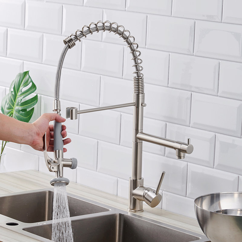 Robinet de cuisine avec douchette extractible, robinet d'évier de cuisine à poignée simple, Argent argent