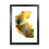Black Framed is unavailable