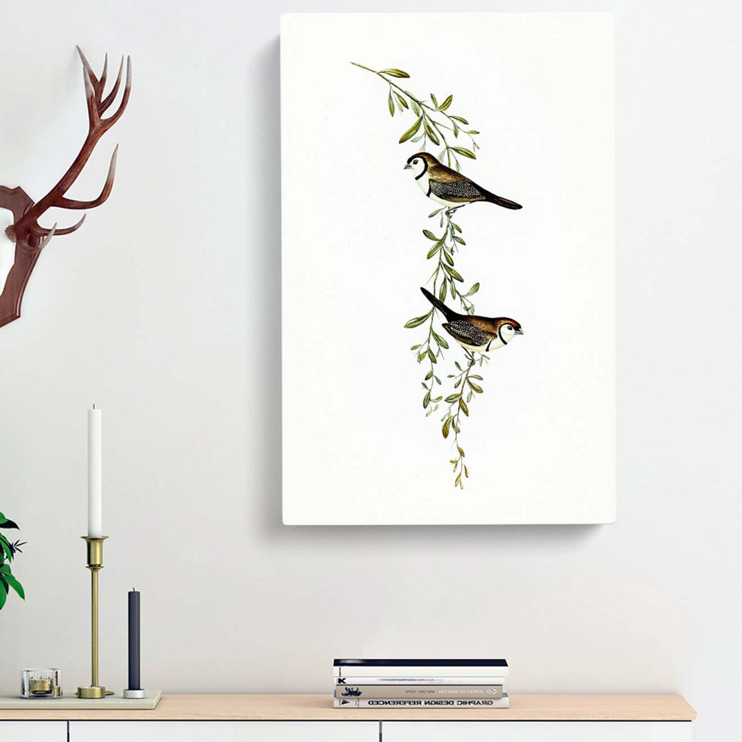 Black-Rumped Finch Birds by Elizabeth Gould - Wrapped Canvas