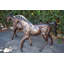 Paire de jeunes chevaux très détaillés, poulains et statues en bronze, taille: 56 po x 50 po x H 47 po