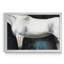 «Équitation études VI», cadre photo, impression sur toile-955061407-955061406