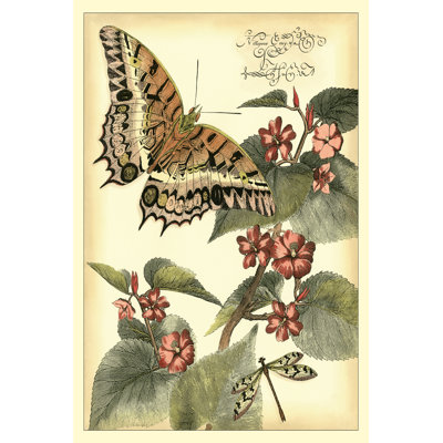 Whimsical Butterflies II - Wrapped Canvas Painting