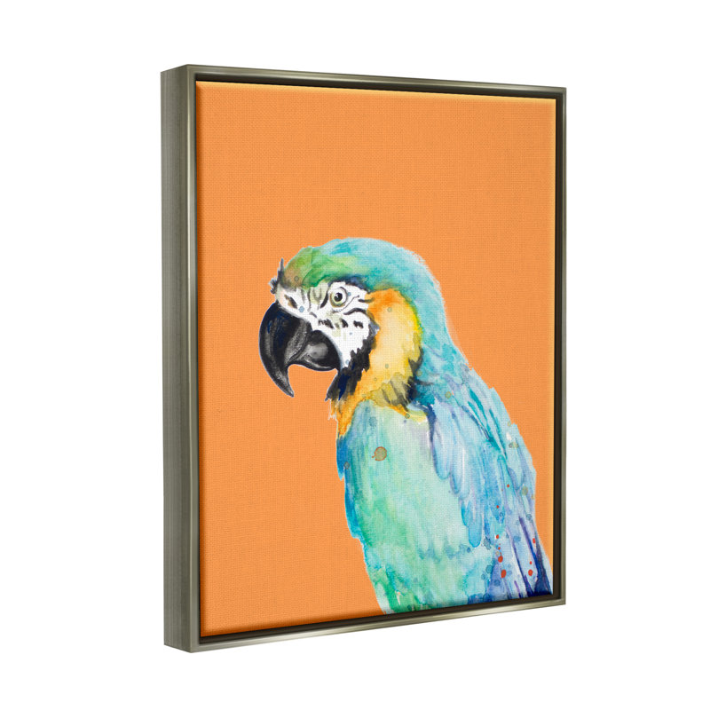 Perroquet aras tropical, H 21 po x l 17 po x P 1,5 po, Cadre flottant gris lustré