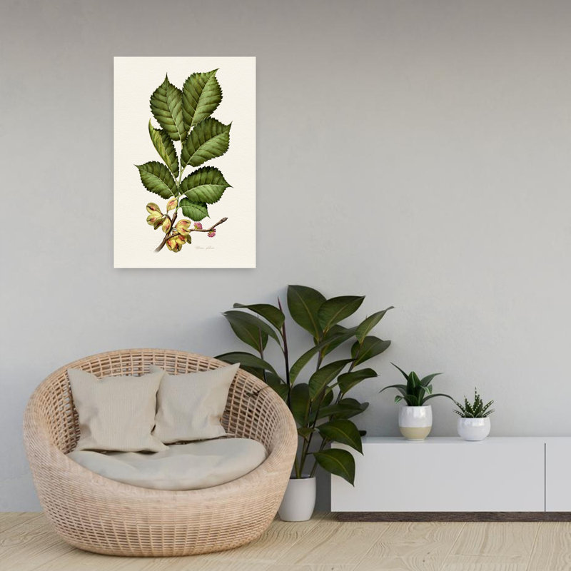 Contemporary Art Classic Traditional Vintage Plant Tree Art, 24" H x 16" W