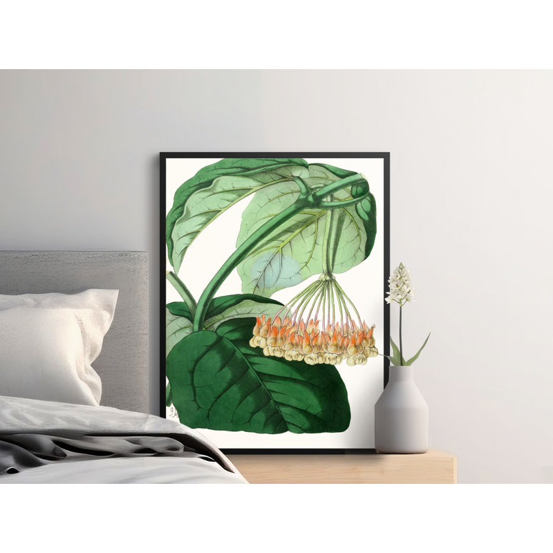 Amata 1 Piece Wall Art, 12x16