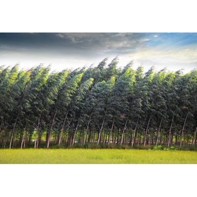Paysage naturel par Pixelfusion3D